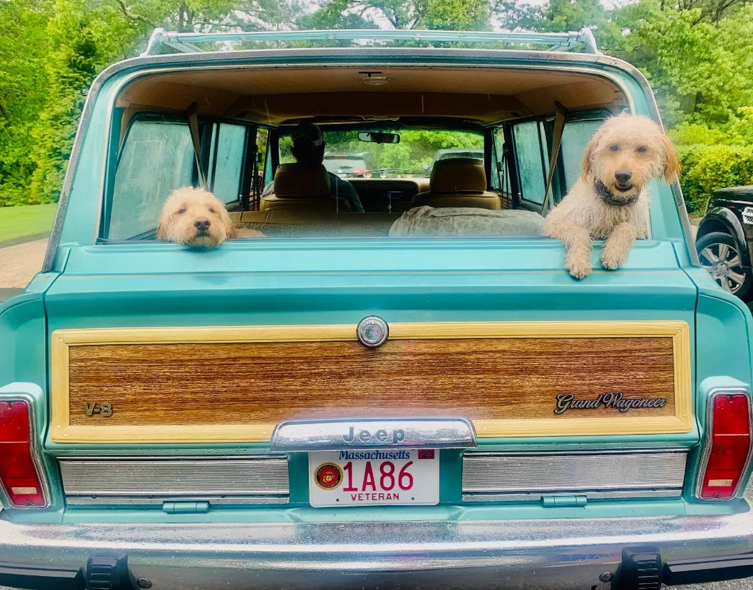 Wagonmaster Woodgrain for Tailgate (1) Piece - Cherry Oak for 1979-1986